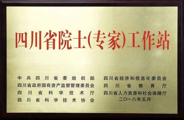 SalvationDATA Sichuan Provincial Academician Expert Work Station